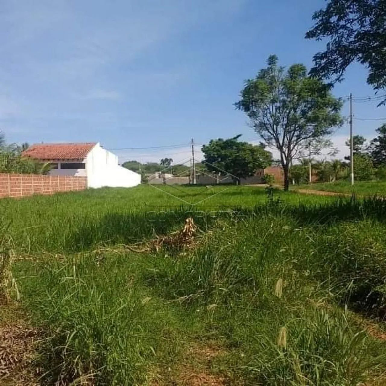 Terreno Padrão em Arealva - Foto 3