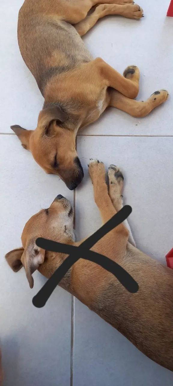 Doa-se 