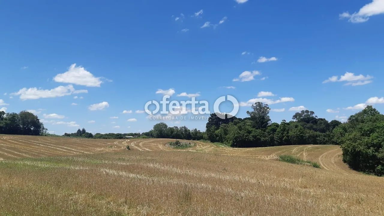 Chácara em Araucária / Campo do Thomaz - Foto 5