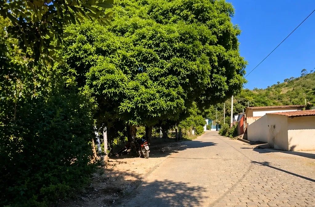  OPORTUNIDADE DE 6 LOTES EM ECOPORANGA  - Foto 4