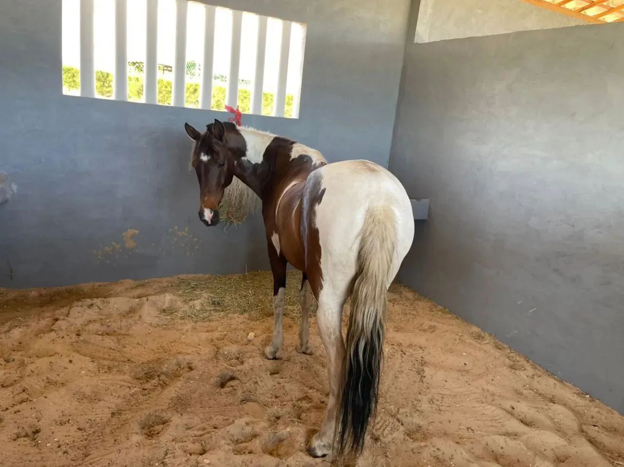 Fazenda Real lote quitado com 525m (ref: 903) [3949] - Foto 11