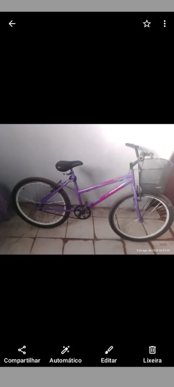 Bicicleta 