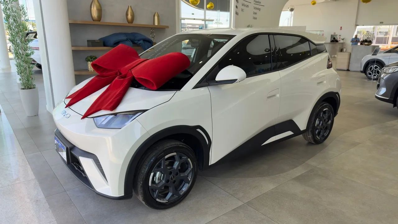 BYD Dolphin Mini (Elétrico) 2027 - Foto 4
