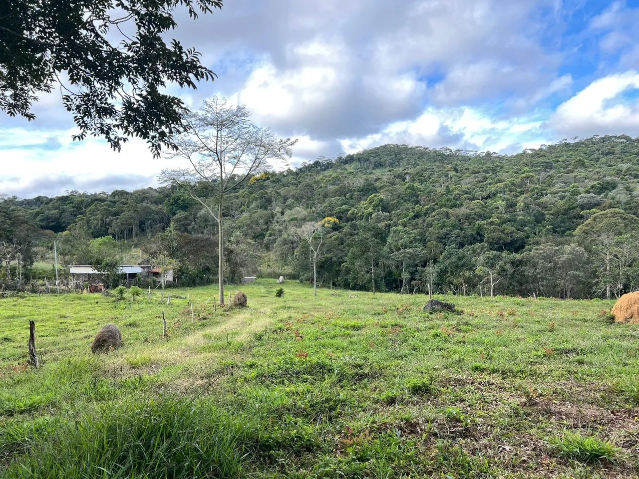 Terreno em Curvilhana - Ouro Branco MG - Foto 5