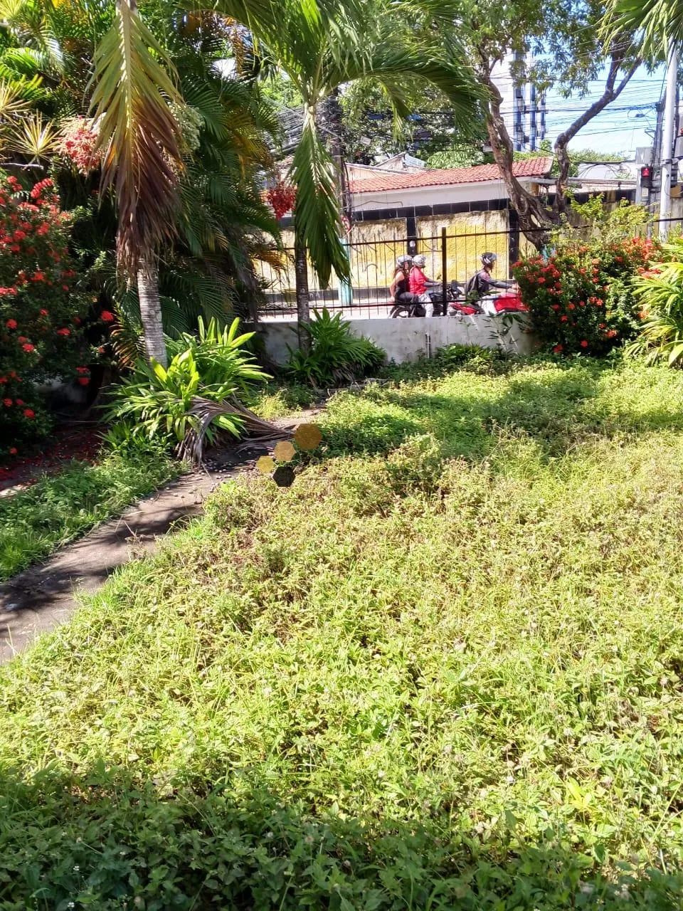 Galeria comercial à venda - Foto 4