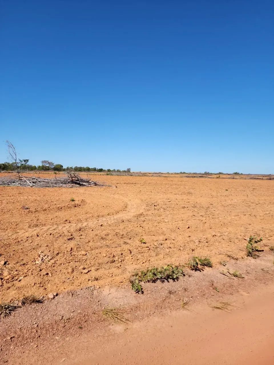 Fazenda a venda, em Ponte Alta Tocantins!!! - Foto 5