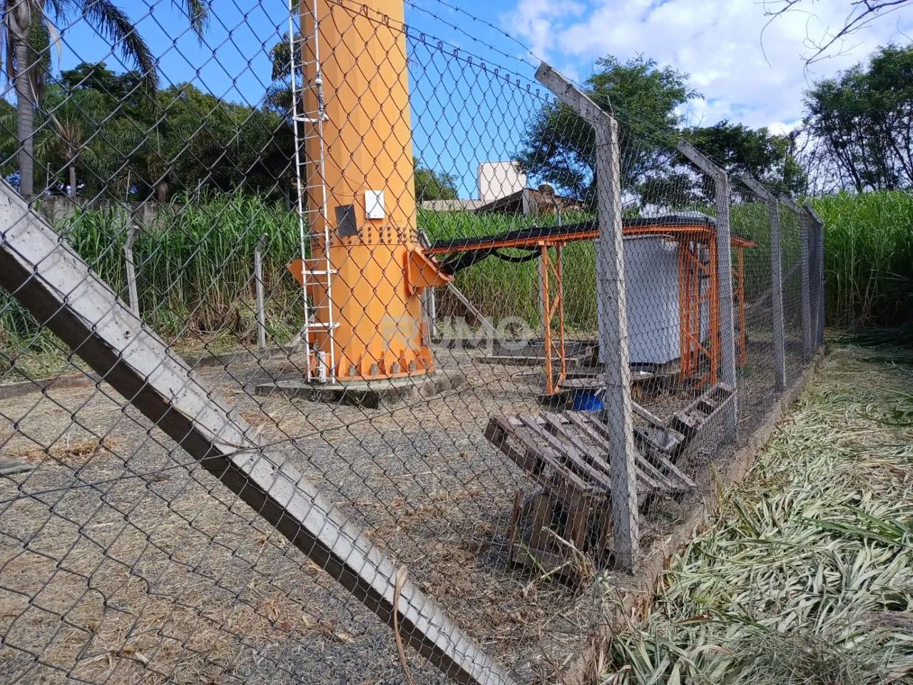 terreno - Parque Taquaral - Campinas - Foto 5