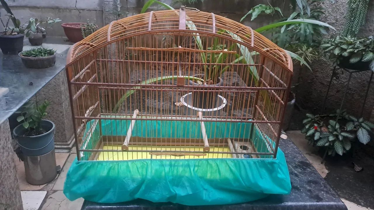 Gaiola Abaulada  - Foto 3