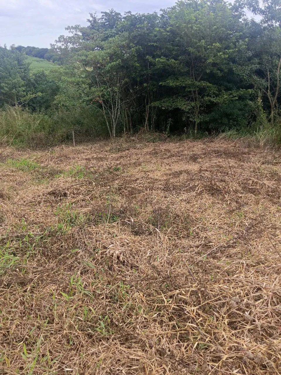 Terreno de chácara em charqueada sp  - Foto 4