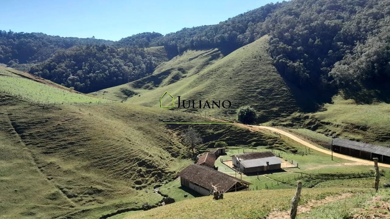 LINDO SÍTIO com 46,2 hectares À VENDA em ANGELINA/SC - Foto 4