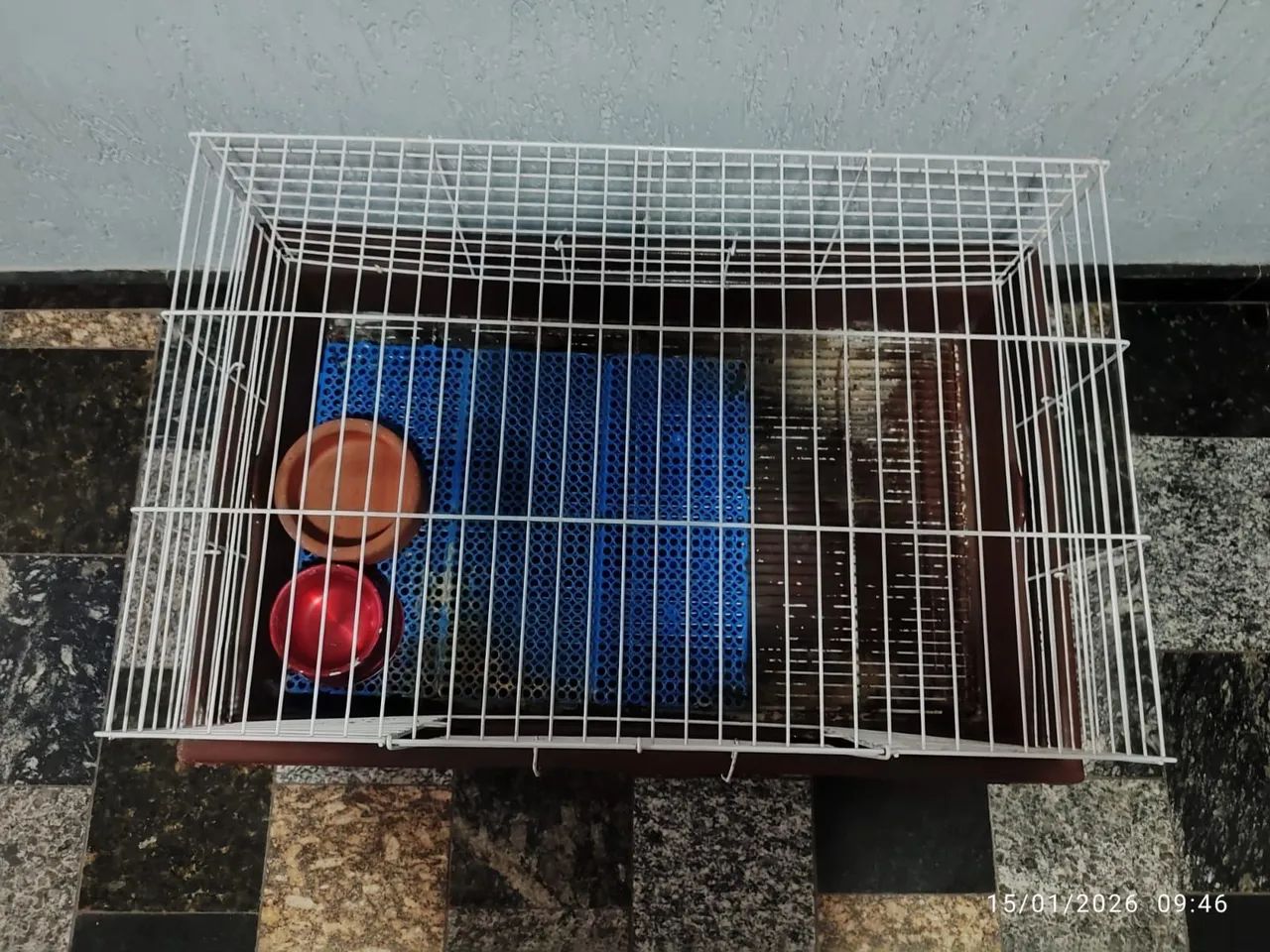 Gaiola ideal para seu pet! Espaçosa, - Foto 2