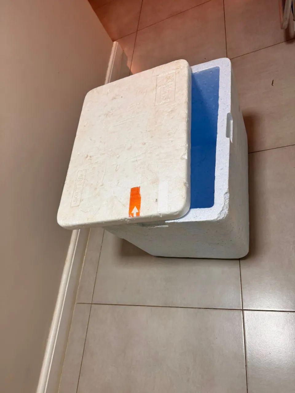 Caixa térmica de isopor 48 litros com tampa - Foto 2