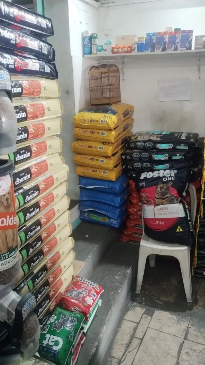 Passo Ponto Pet Shop - Foto 5