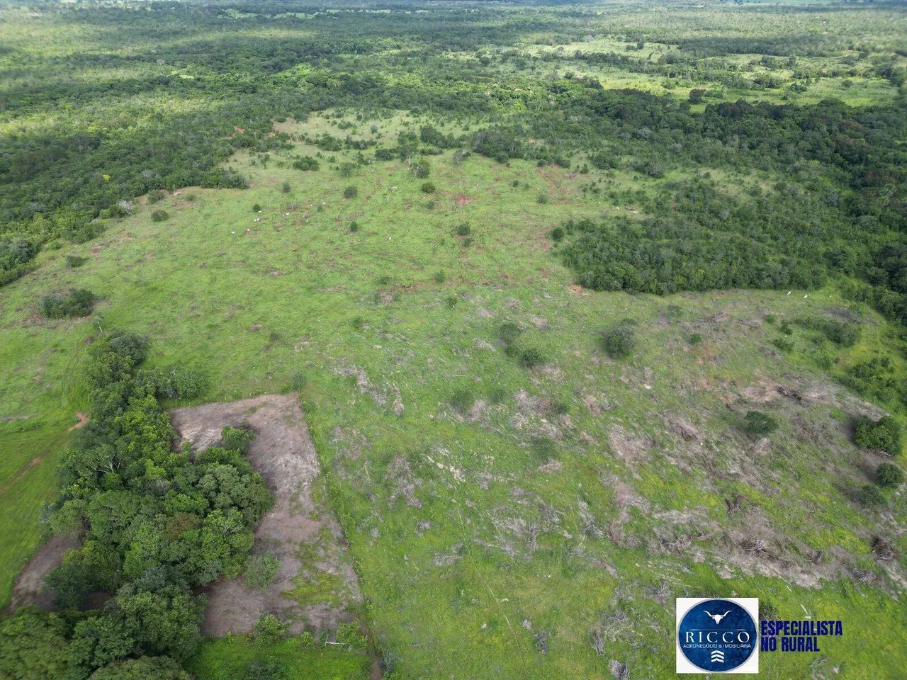Fazenda à Venda  254 Alqueires na região de Alvorada do Tocantins - Foto 2