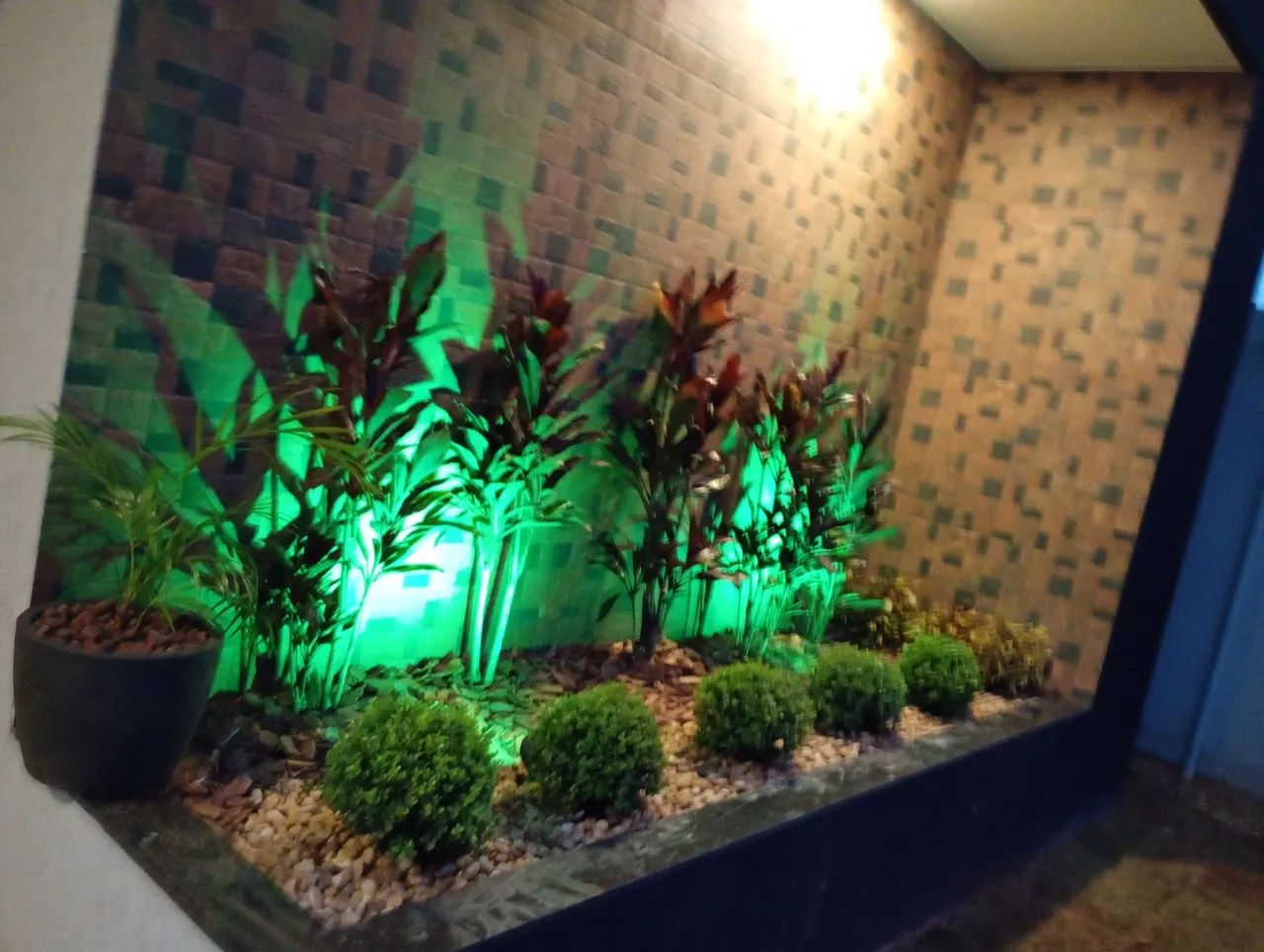 jardim fácil  - Foto 4