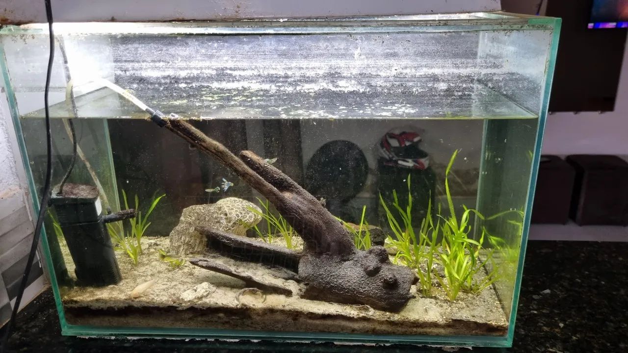 Aquario de 75 litros