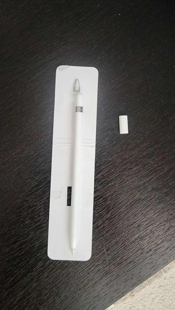 Apple Pen 1° Geração NOVÍSSIMA