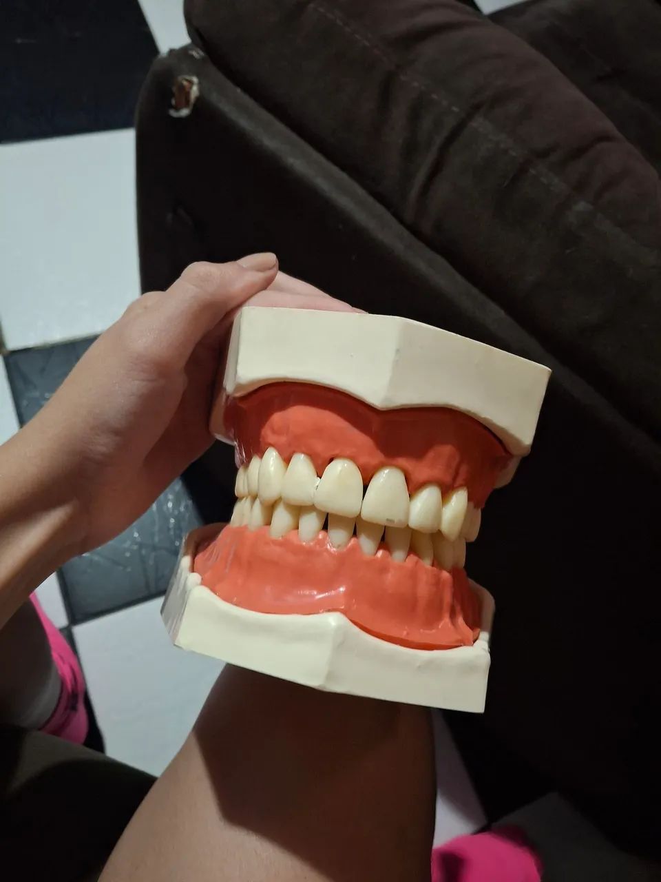 modelo anatômico de dentes - Foto 2