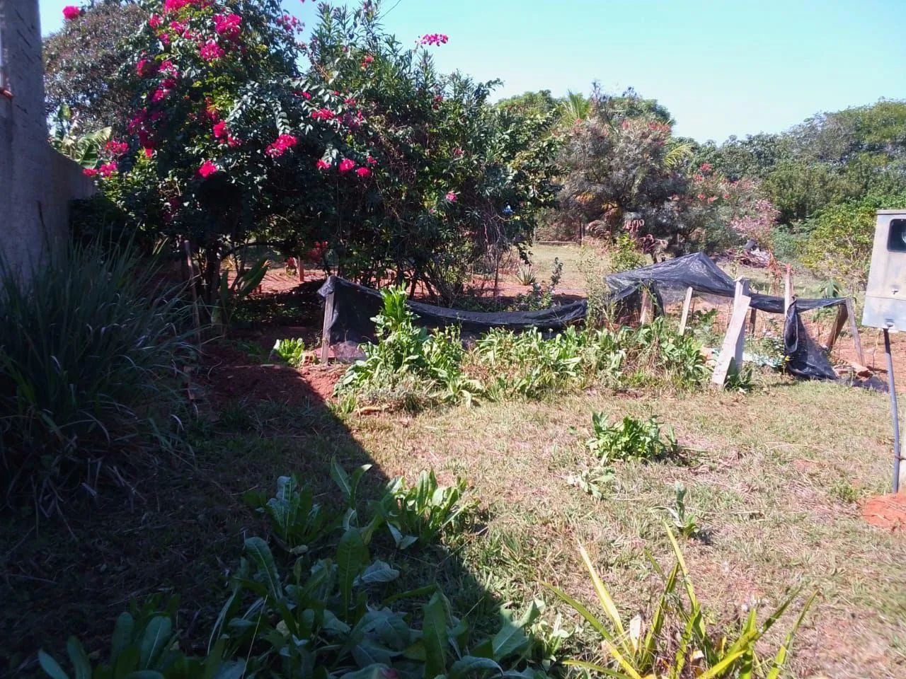 Vendo chácara na cidade de pereiras sp - Foto 4