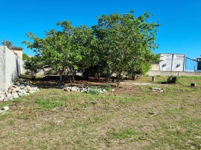 terreno plano de 3.000m2 - Foto 5