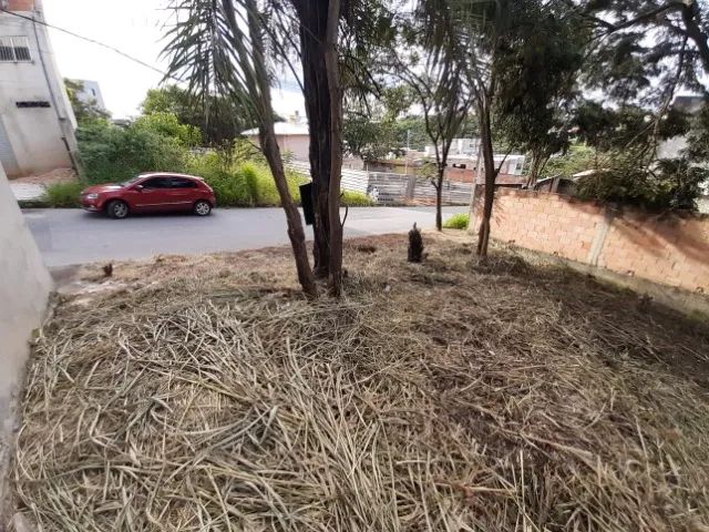 Lote Bairro Liberdade - 253,61 m² - Foto 5