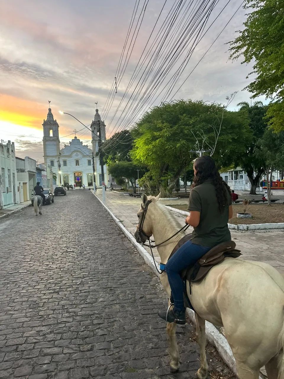 Vendo ou troco cavalo