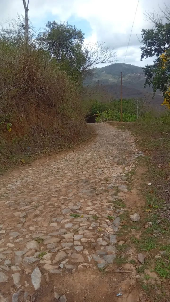 VENDE-SE TERRENO EM GUARAMIRANGA - CE - Foto 4