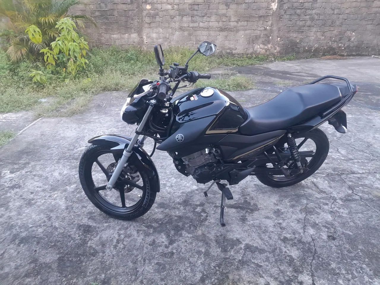 Factor 150 ED 2024 /2024 - Foto 4
