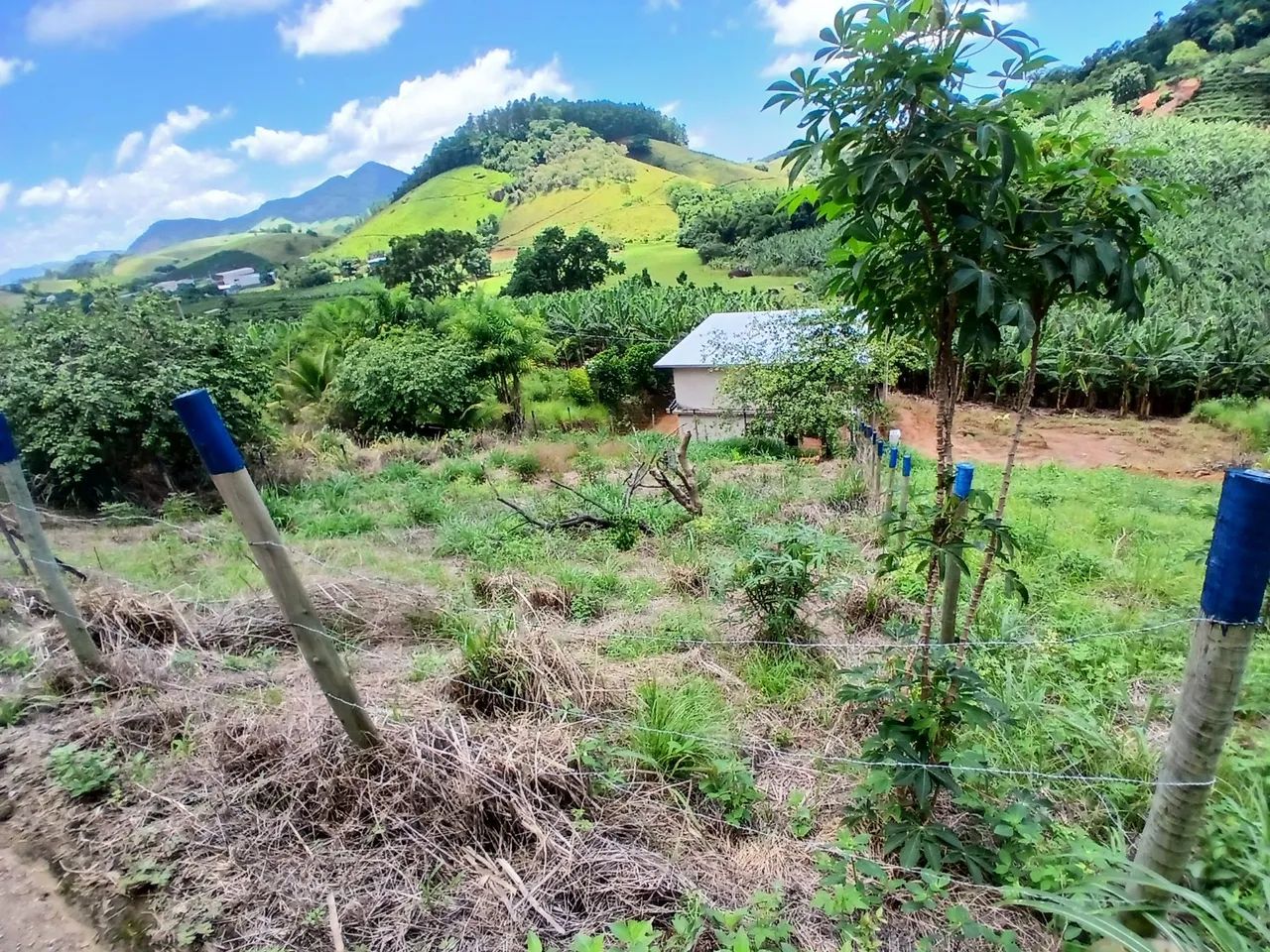 Vendo Lote em Solidão  - Foto 4
