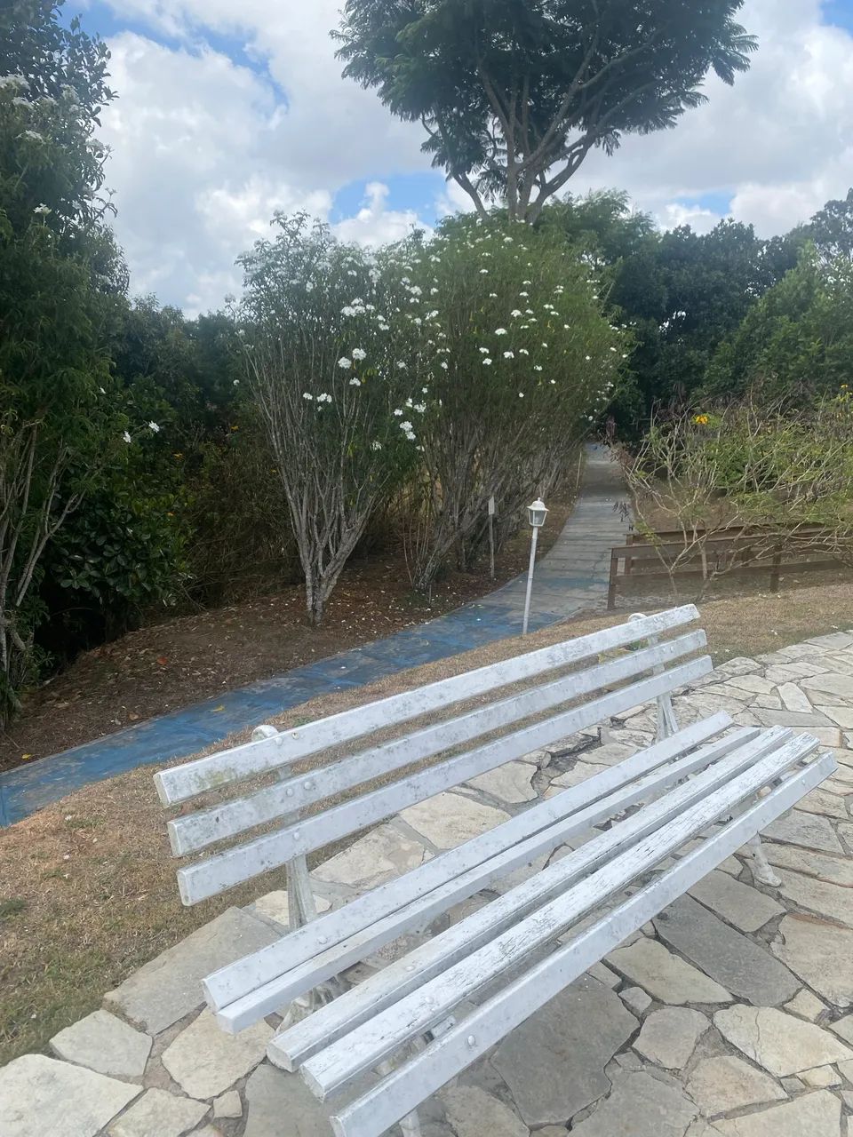 Terreno em Chã Grande - 800m2 - Foto 3