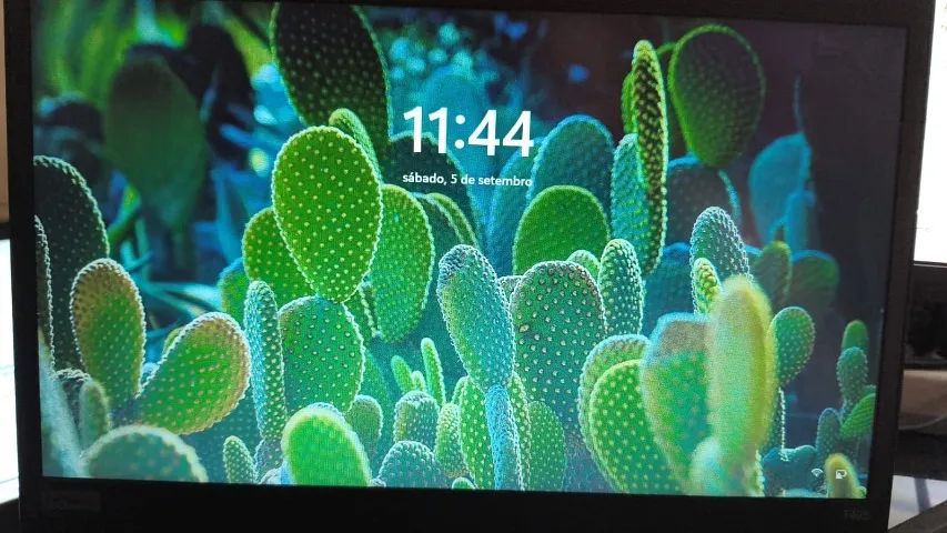 Lenovo ThinkPad T495 - Foto 2