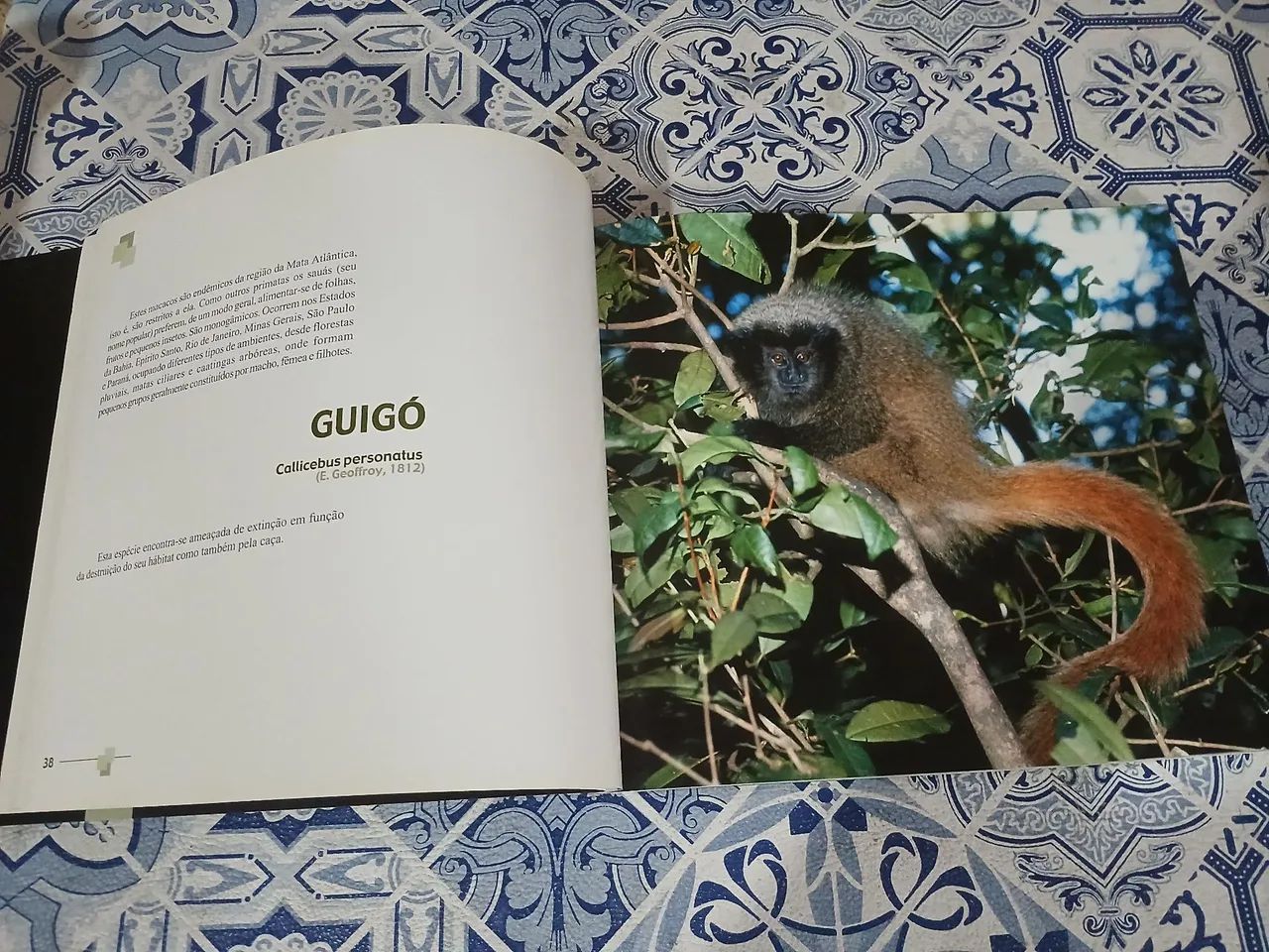 Livros Infantis  - Foto 4
