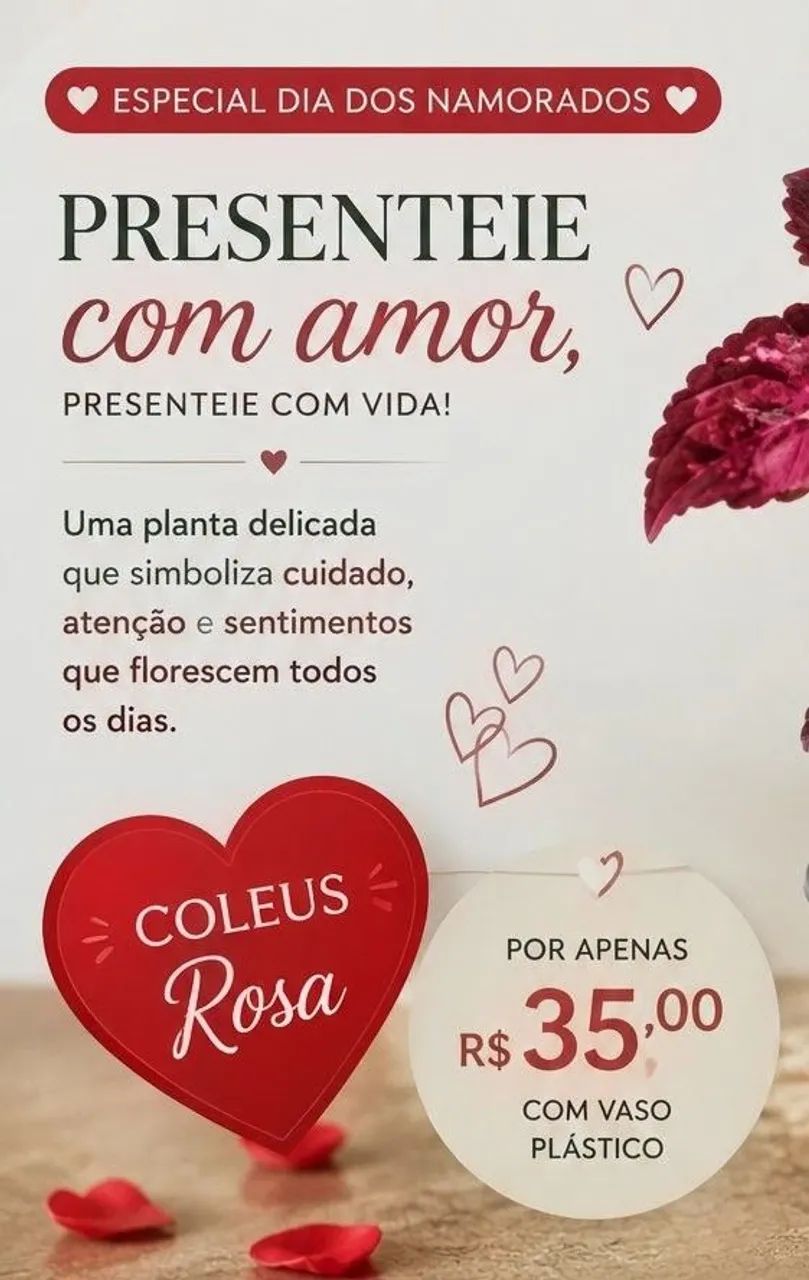 Planta coração magoado - Foto 3