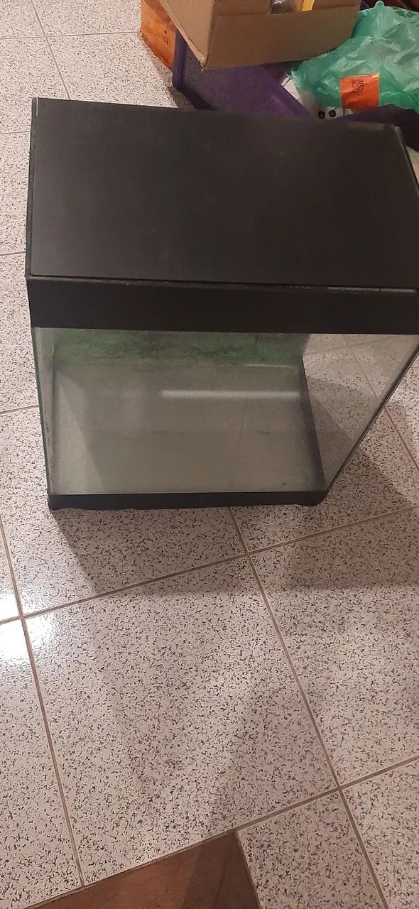 Aquário e  acessórios 