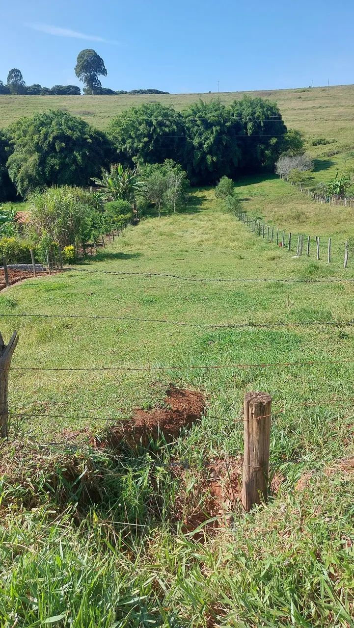 Linda Chácara com pequeno riacho no bairro dos cesarios - Foto 2