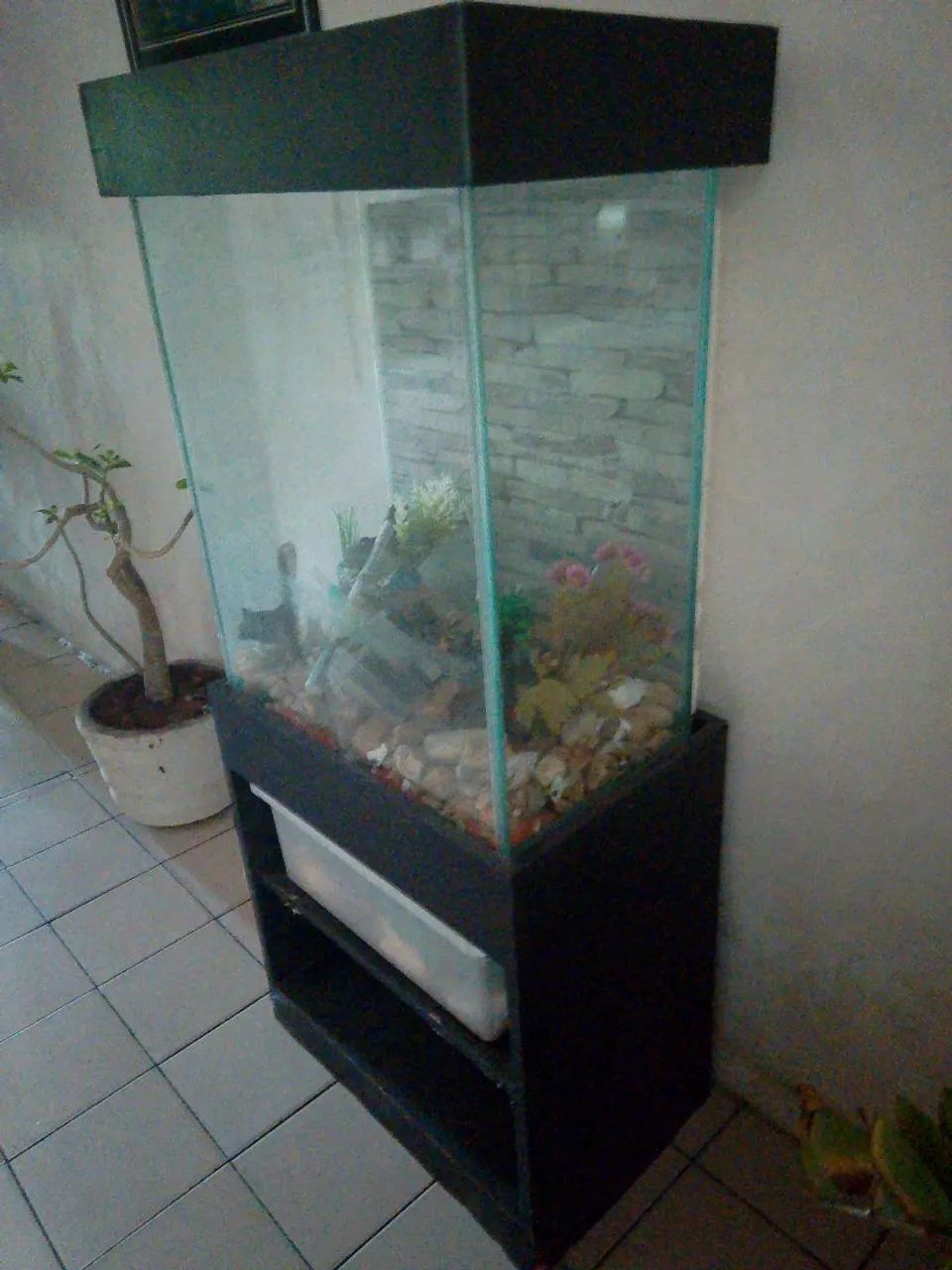 Aquário Completo  - Foto 3