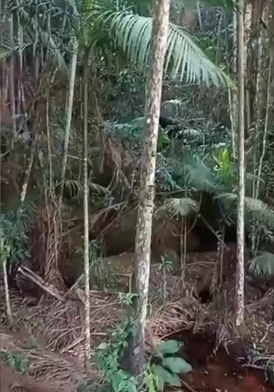 Chácara com água perto do asfalto  - Foto 4