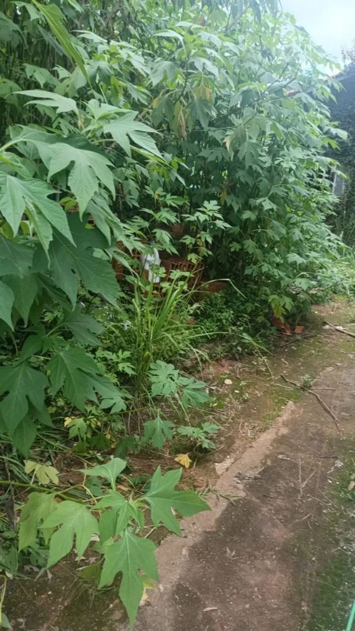 Terreno em Monlevade Nova Esperança  - Foto 2