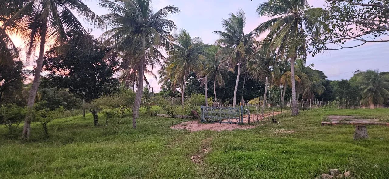 Sítio com Campo de Futebol em Alcaçuz  - Foto 2