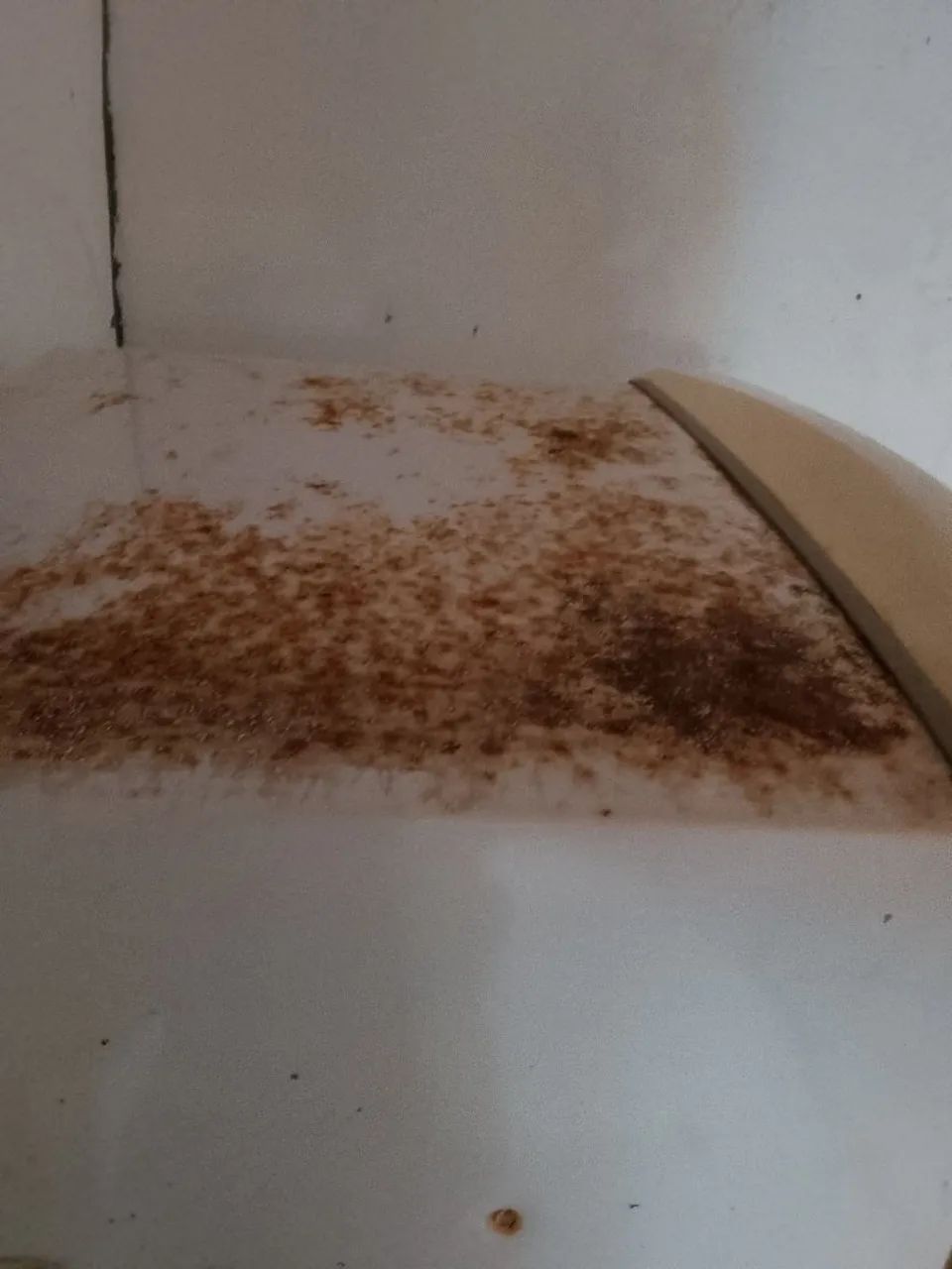 Geladeira em bom estado e funcionando perfeitamente. - Foto 5