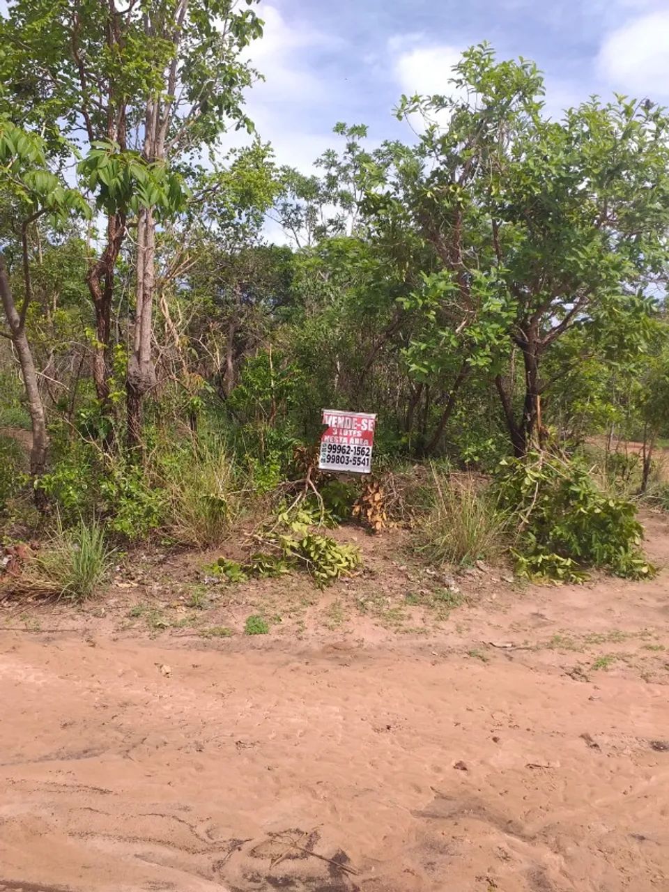 TERRENO DE 10 MIL M² EM TIMOM-MA - Foto 5