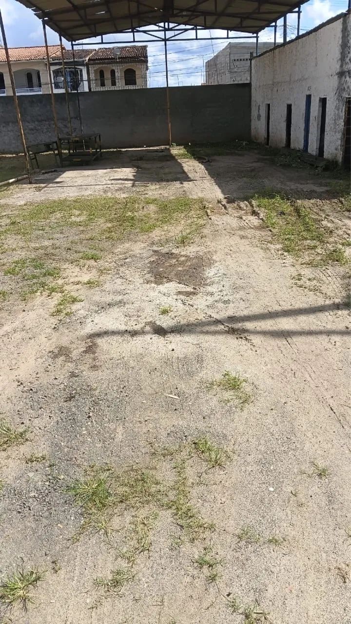 Alugo Área para Galpão 