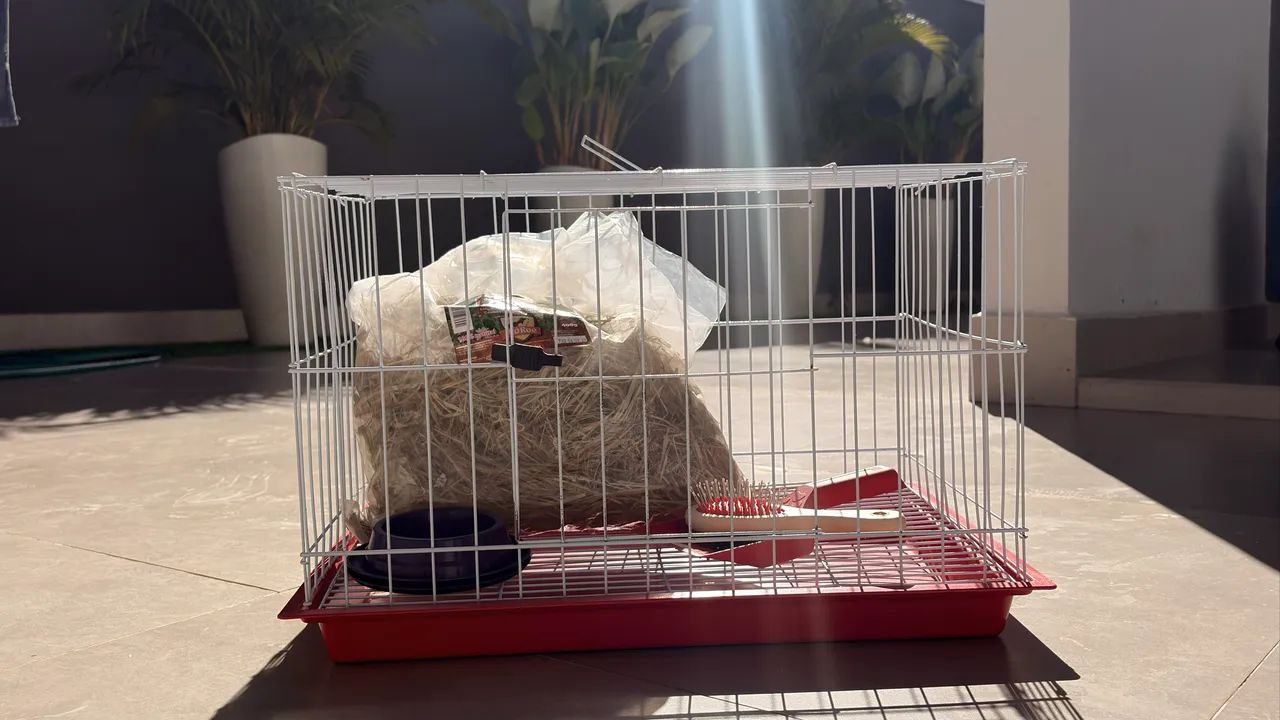 Gaiola para Coelho - Ótimo Estado, Vendo Barato!  - Foto 3