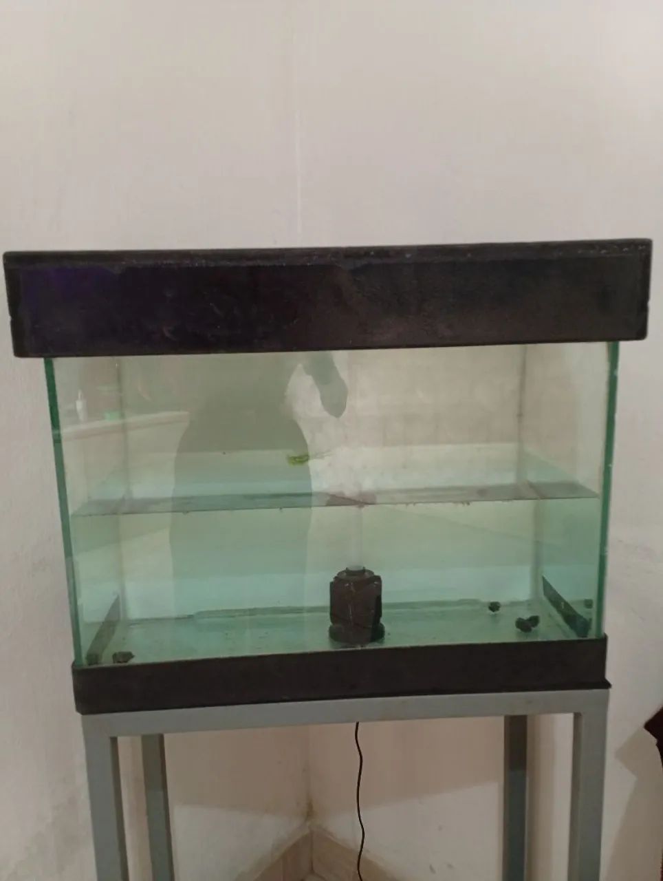 Aquário de peixe