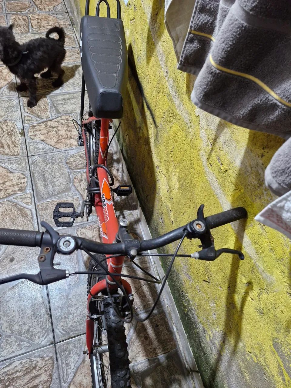 Bicicleta  - Foto 4