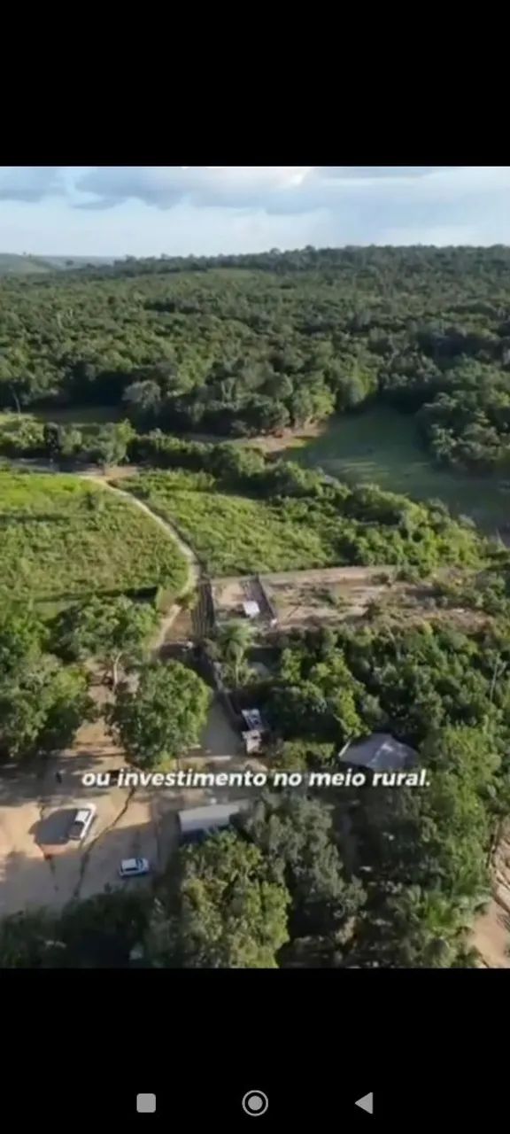 Sítio na curua-una  - Foto 5