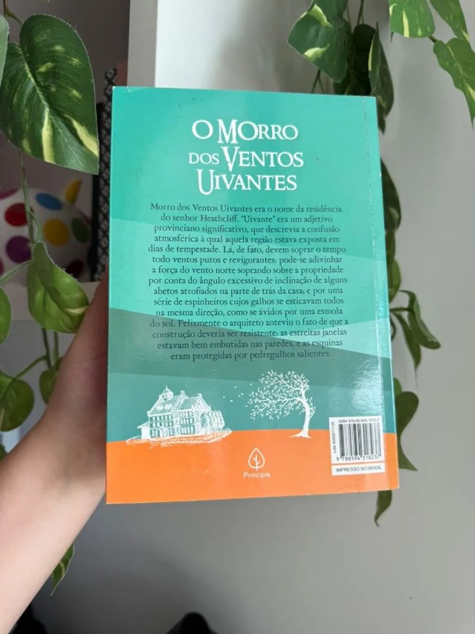 O morro dos ventos uivantes - Foto 3