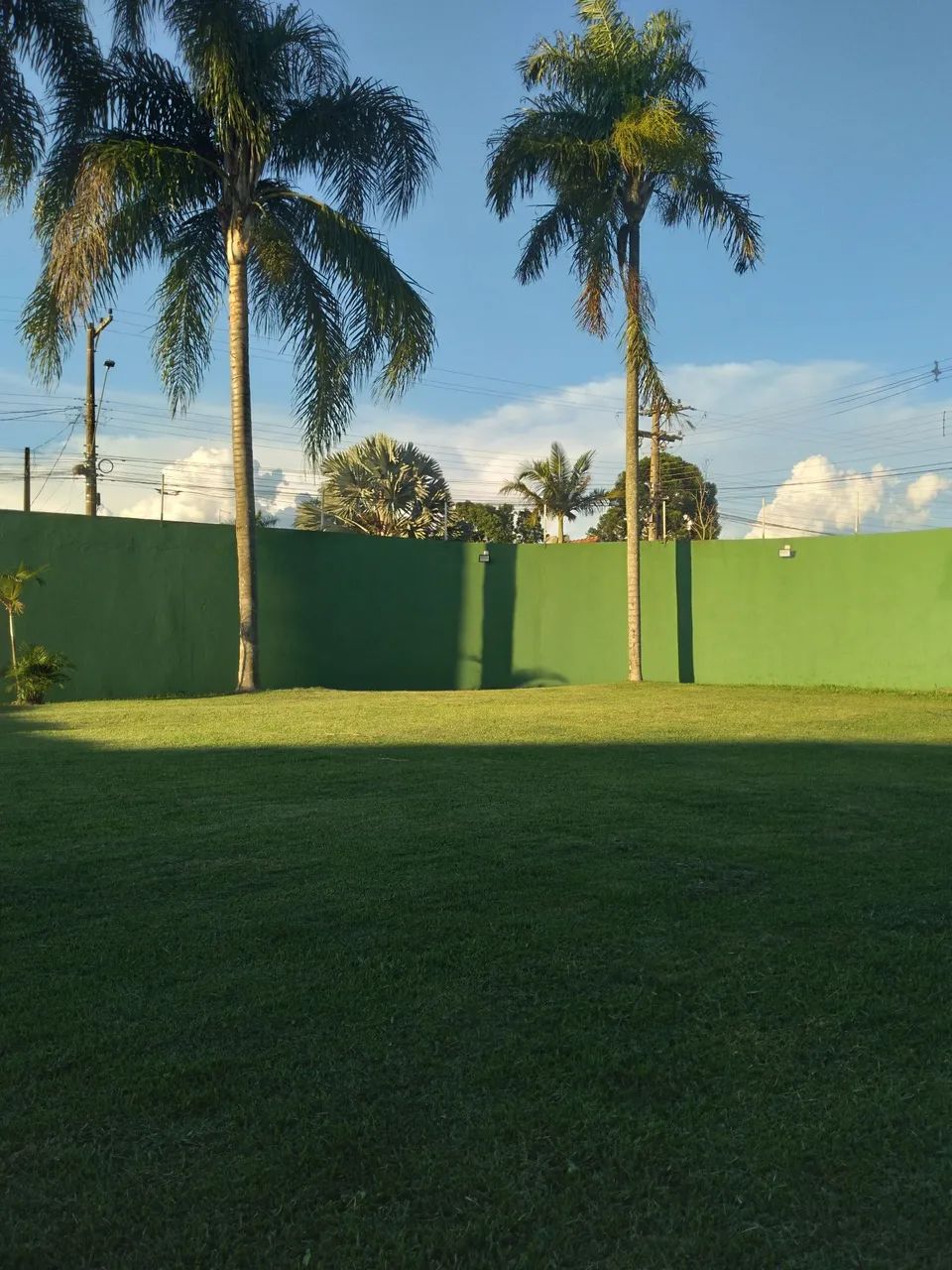 Grama Esmeralda  - Foto 2