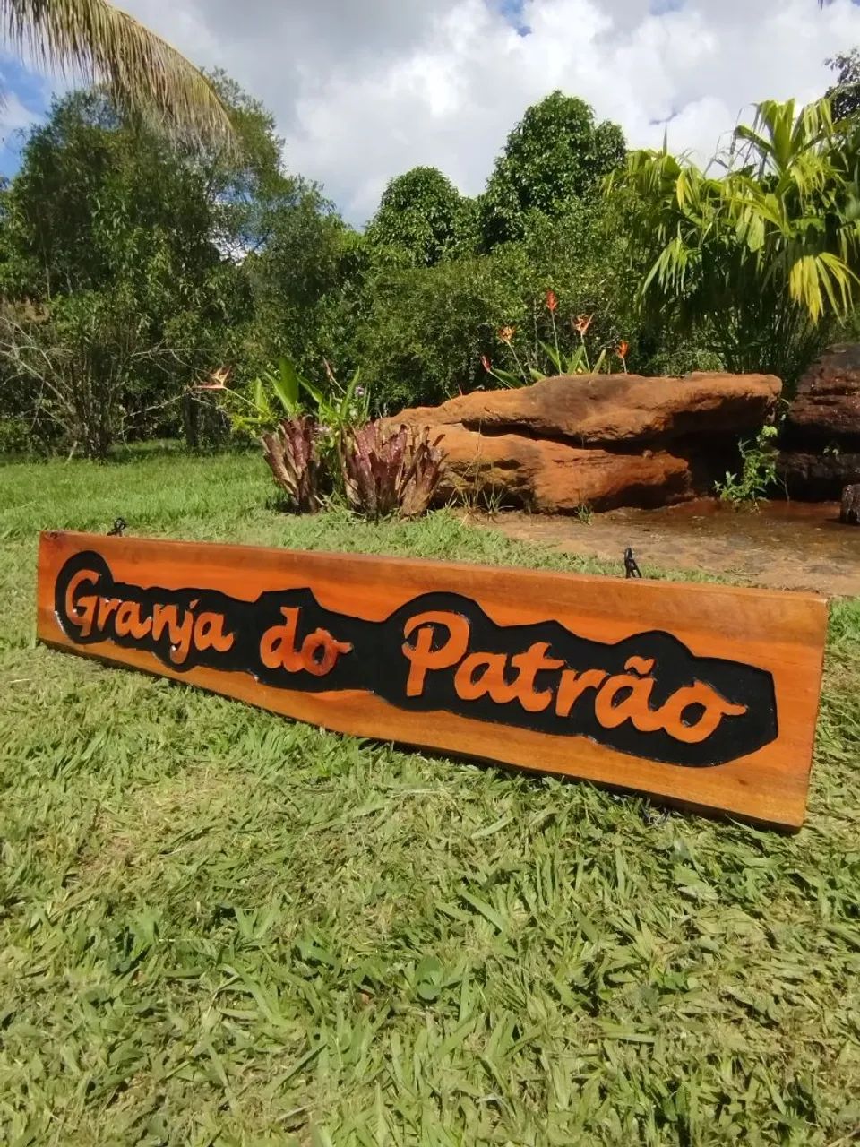 Placas entalhadas em madeira  - Foto 4