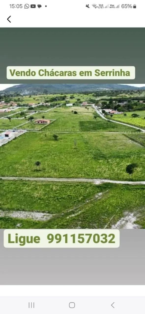 Lotes de Chácaras em Serrinha  - Foto 3